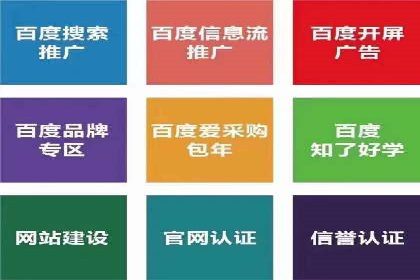 创新引领者：某信息流广告公司的技术突破案例